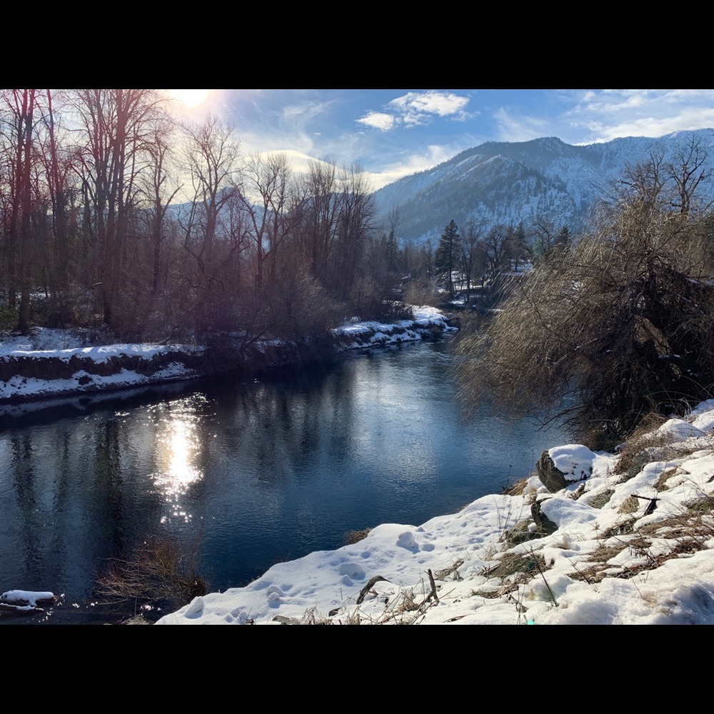 Meet your Posher, Tina